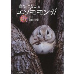 森でつながるエゾモモンガ(命のつながり〈8〉) [単行本]