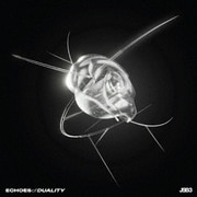 ECHOES of DUALITY