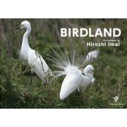 BIRDLAND [単行本]
