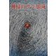 神様のサジ加減（現代名随筆叢書〈23〉） [単行本]