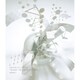 嵐／ARASHI 10-11 TOUR "Scene"～君と僕の見ている風景～ DOME+ [Blu-ray Disc]