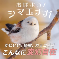 おはよう！シマエナガ [単行本]