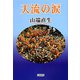 天流の涙 [単行本]