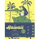 Hawaii guide 24H 改訂2版 [単行本]
