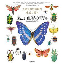 昆虫色彩の奇跡―大英自然史博物館珠玉の標本 [単行本]