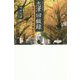 志津回顧録―短歌と随筆で綴る齢97の光彩 [単行本]
