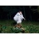 高野洸／Advance
