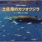 土佐湾のカツオクジラ―中西和夫の写真絵本 [絵本]