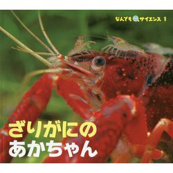 ざりがにのあかちゃん（チャイルド科学絵本館 なんでもサイエンス〈1〉） [絵本]