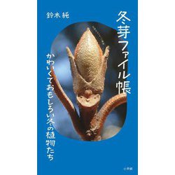 冬芽ファイル帳―かわいくておもしろい冬の植物たち [図鑑]