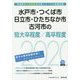 水戸市・つくば市・日立市・ひたちなか市・古河市の短大卒程度/高卒程度〈2020年度〉(茨城県の公務員試験対策シリーズ) [単行本]