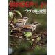 BIRDER (バーダー) 2024年 11月号 [雑誌]