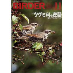 BIRDER (バーダー) 2024年 11月号 [雑誌]