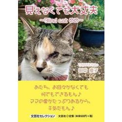 見えなくても大丈夫 [単行本]