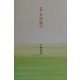 詩集 木苺摘み [単行本]