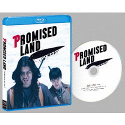 プロミスト・ランド [Blu-ray Disc]