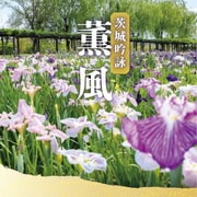 茨城吟詠 薫風