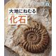 大地にねむる化石(日本列島5億年の旅 大地のビジュアル大図鑑〈6〉) [単行本]