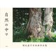 自然の中で―増沢直子日本画作品集 [単行本]