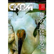 中國紀行ＣＫＲＭ　Ｖｏｌ．３７ [ムックその他]