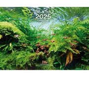 Aquarium Calendar アクアリウムカレンダー 2025（月めくり・壁掛け） [カレンダー]
