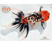 Gold Fish 金魚カレンダー 2025 （月めくり・壁掛け） [カレンダー]