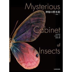 神秘の標本箱―昆虫 [図鑑]