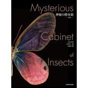 神秘の標本箱―昆虫 [図鑑]