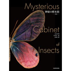 Amazon.co.jp: 神秘の標本箱 ‐昆虫‐ : 丸山 宗利, 吉田 攻一郎