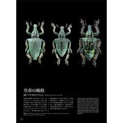 ヨドバシ.com - 神秘の標本箱―昆虫 [図鑑] 通販【全品無料配達】