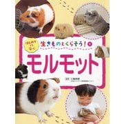 生きものとくらそう!〈5〉モルモット―はじめてでも安心 [全集叢書]