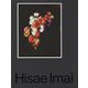 HISAE IMAI [単行本]