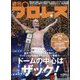 週刊 プロレス 2024年 11/20号 [雑誌]