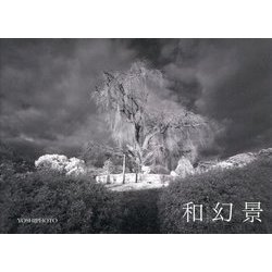 和幻景 [単行本]
