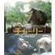 チャーリー [Blu-ray Disc]