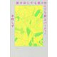 抜け出しても抜け出しても変なパーティー [単行本]