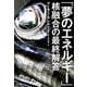 「夢のエネルギー」核融合の最終解答 [単行本]