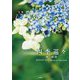 四季巡々―輝く瞬間 はやかわれいMemorial Photobook [単行本]