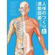 人体のつくりと運動図鑑 [図鑑]