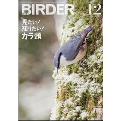 BIRDER （バーダー） 2024年 12月号 [雑誌]