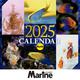 マリンアクアリストカレンダー 2025（月めくり・壁掛け） 2024年版 [カレンダー]