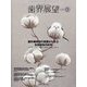 歯界展望 2024年 12月号 [雑誌]