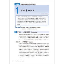 ヨドバシ.com - もっとよくわかる！細胞死(実験医学別冊 もっと