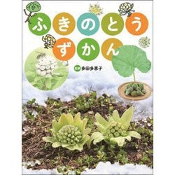 ふきのとう ずかん [図鑑]