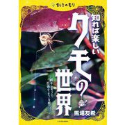 知れば楽しいクモの世界―網のひみつと忍者のような能力!?(ちしきのもり) [単行本]