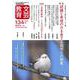 文芸教育134号<2024冬> [単行本]