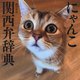 にゃんこ関西弁辞典 [単行本]