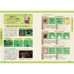 ヨドバシ.com - ゼルダの伝説知恵のかりものザ・コンプリート
