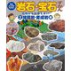 石のふしぎがわかる!岩石・宝石ずかん〈2〉化石にも出会える!?堆積岩・変成岩編 [全集叢書]