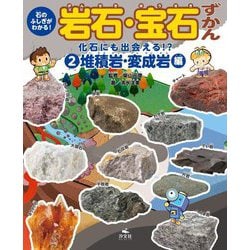 石のふしぎがわかる!岩石・宝石ずかん〈2〉化石にも出会える!?堆積岩・変成岩編 [全集叢書]